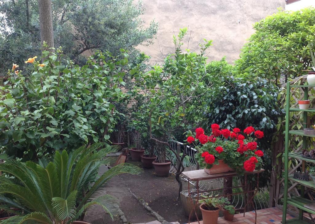 Carrer Dels Horts Daire Alghero Dış mekan fotoğraf